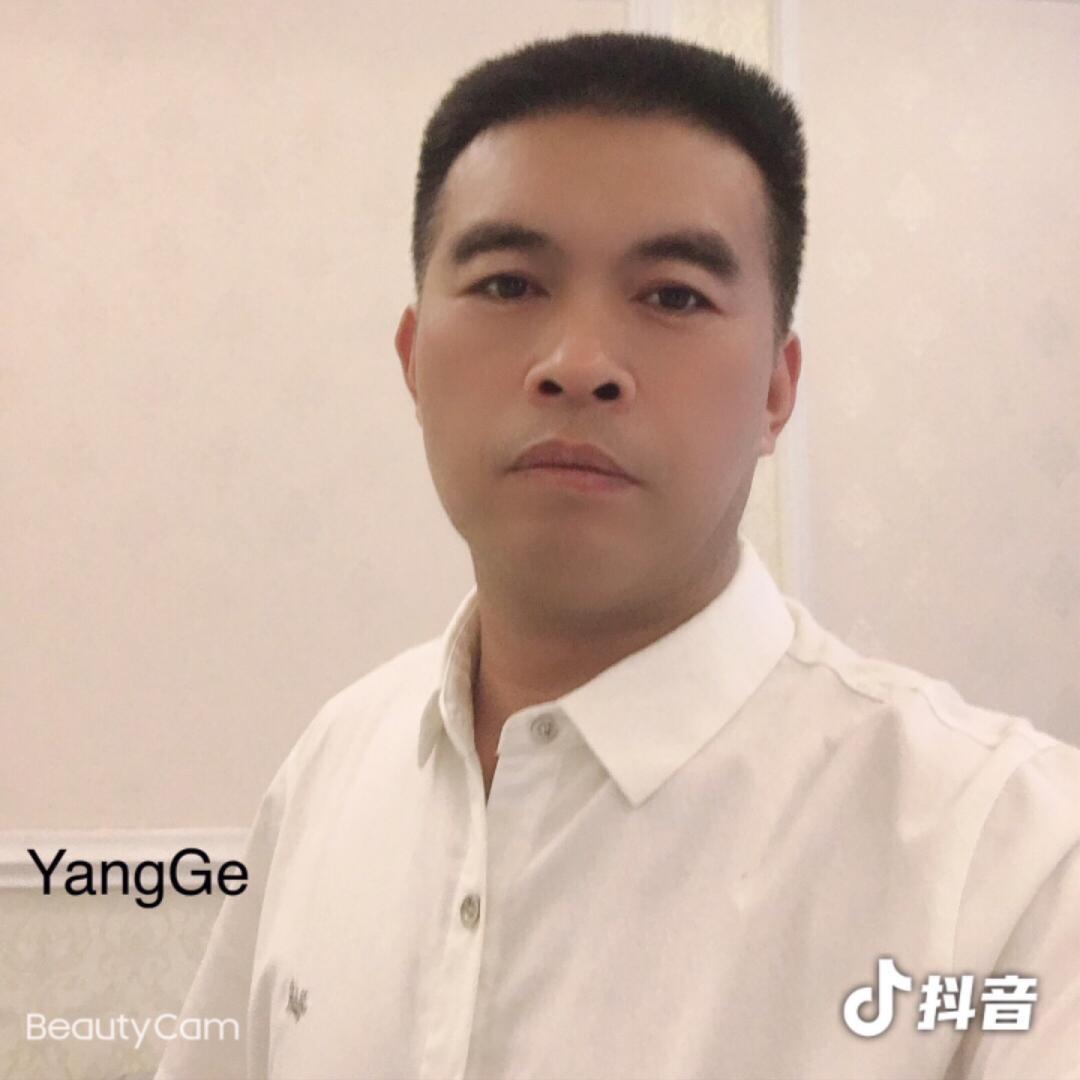 yang-哥