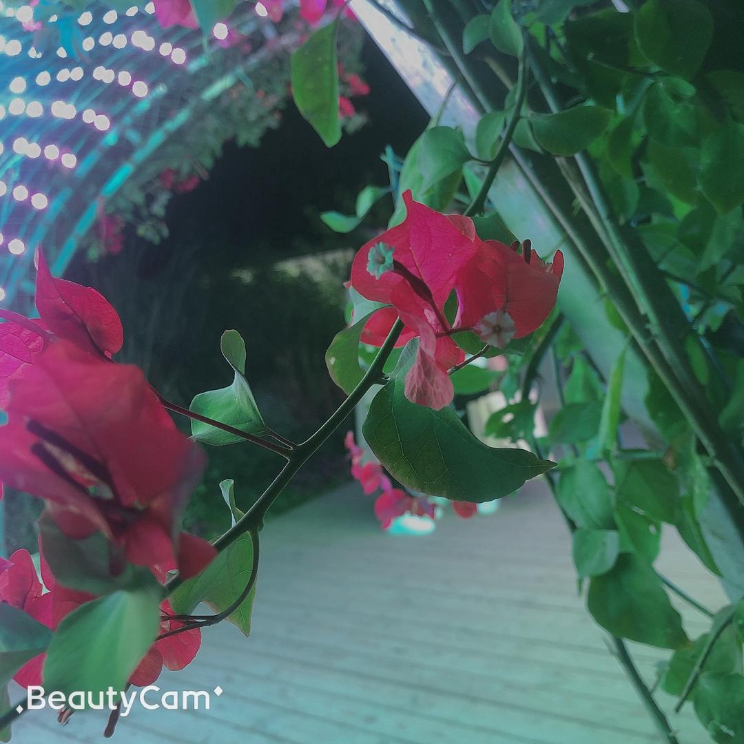 抉择无悔🍭