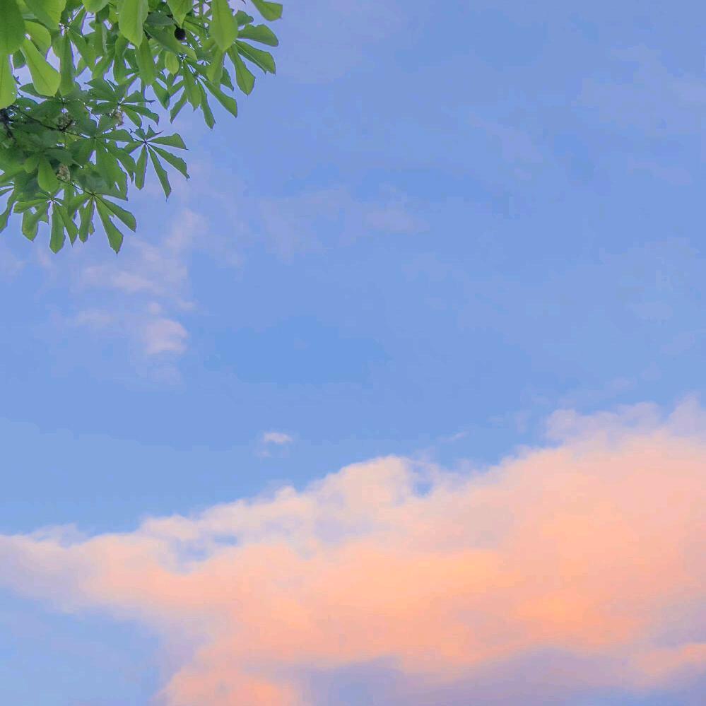 阳光很暖☀️