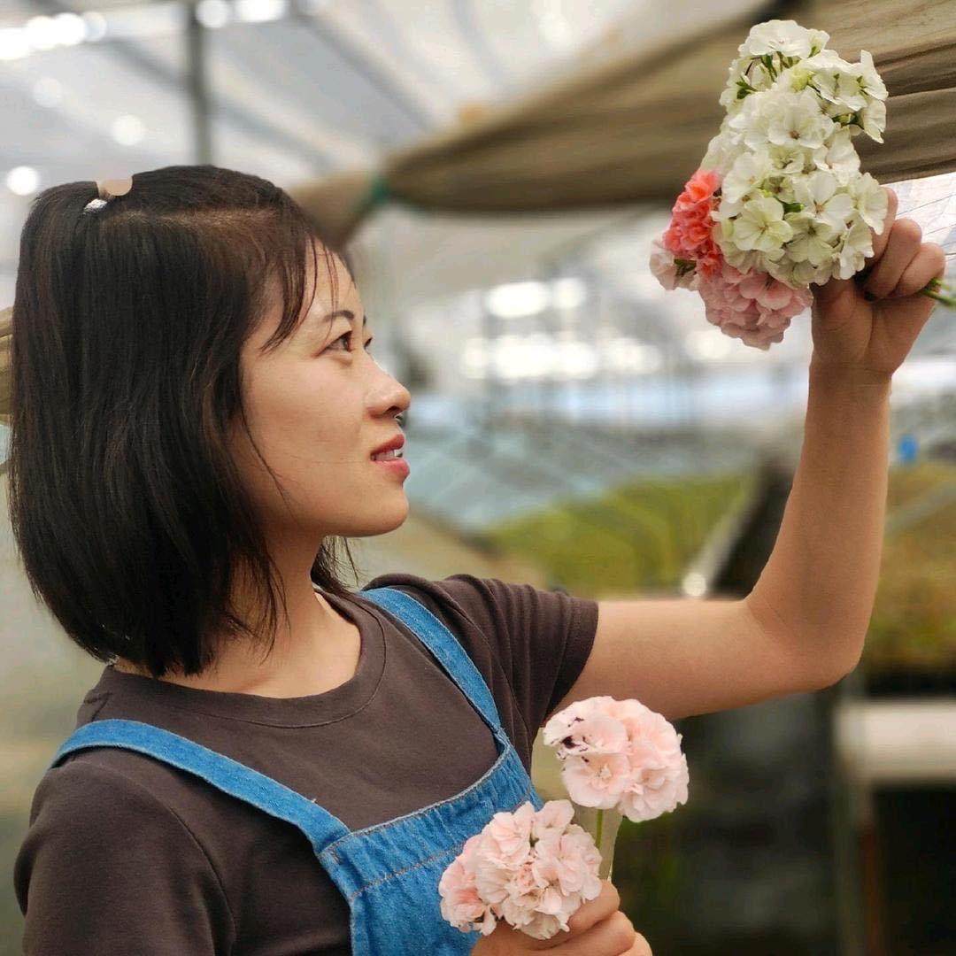 花时 园艺