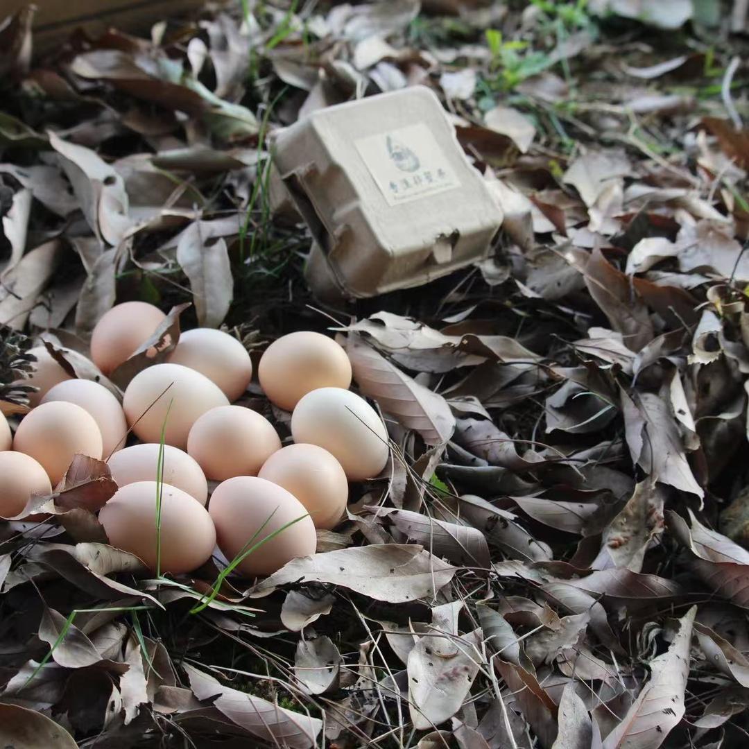 平潭思高农庄鲜记生鲜店