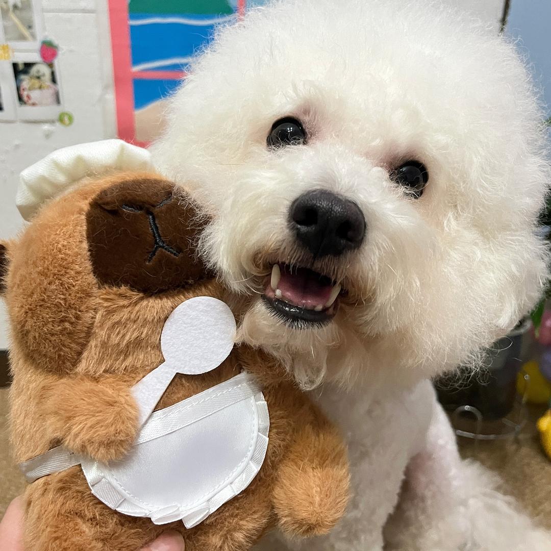 嘟嘟小怂包