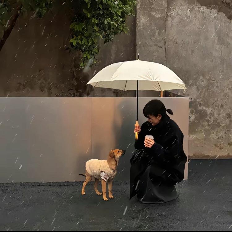 村口黄毛