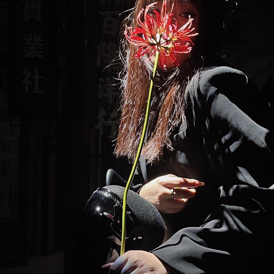 rr真不在