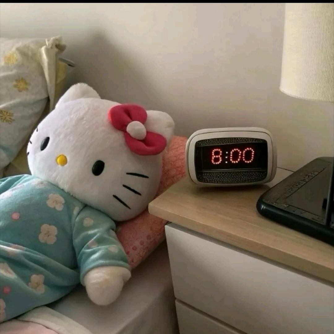 张的美伢～（减脂版）