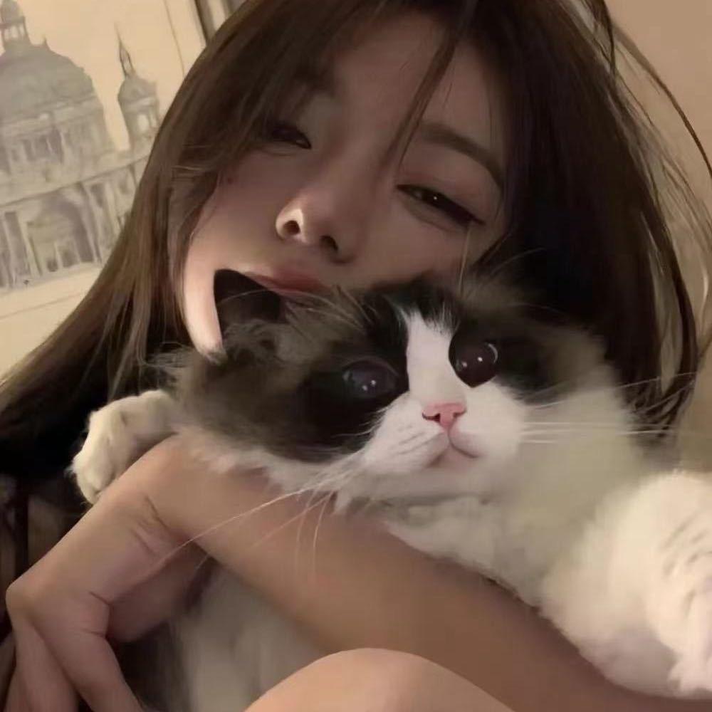 羊羊🐑