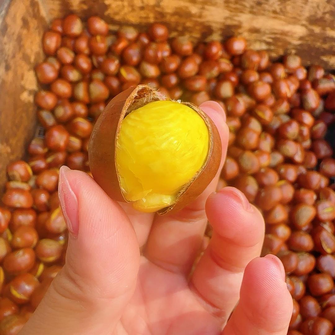 栗福多(凤凰春城2期店)官方号