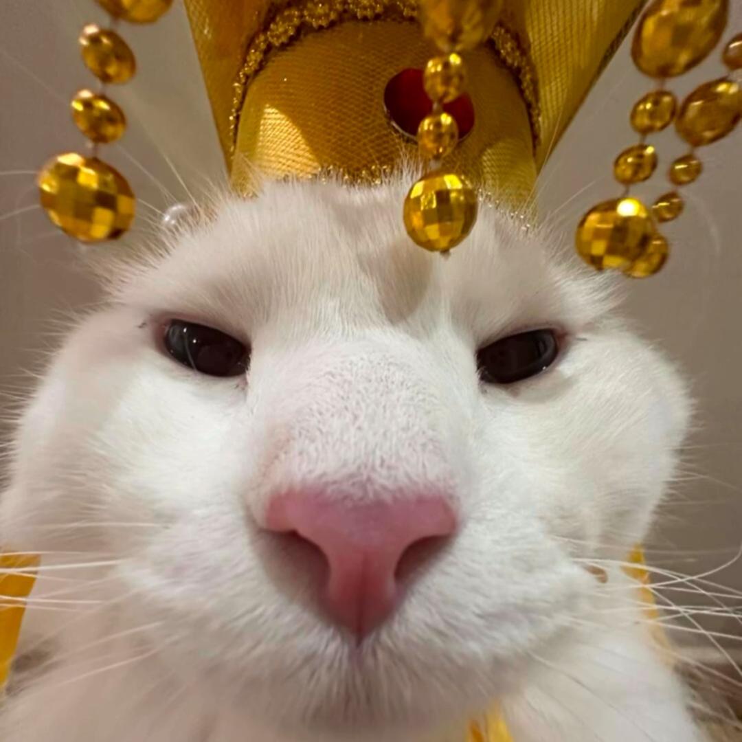 多喝水ㅤㅤㅤㅤㅤ