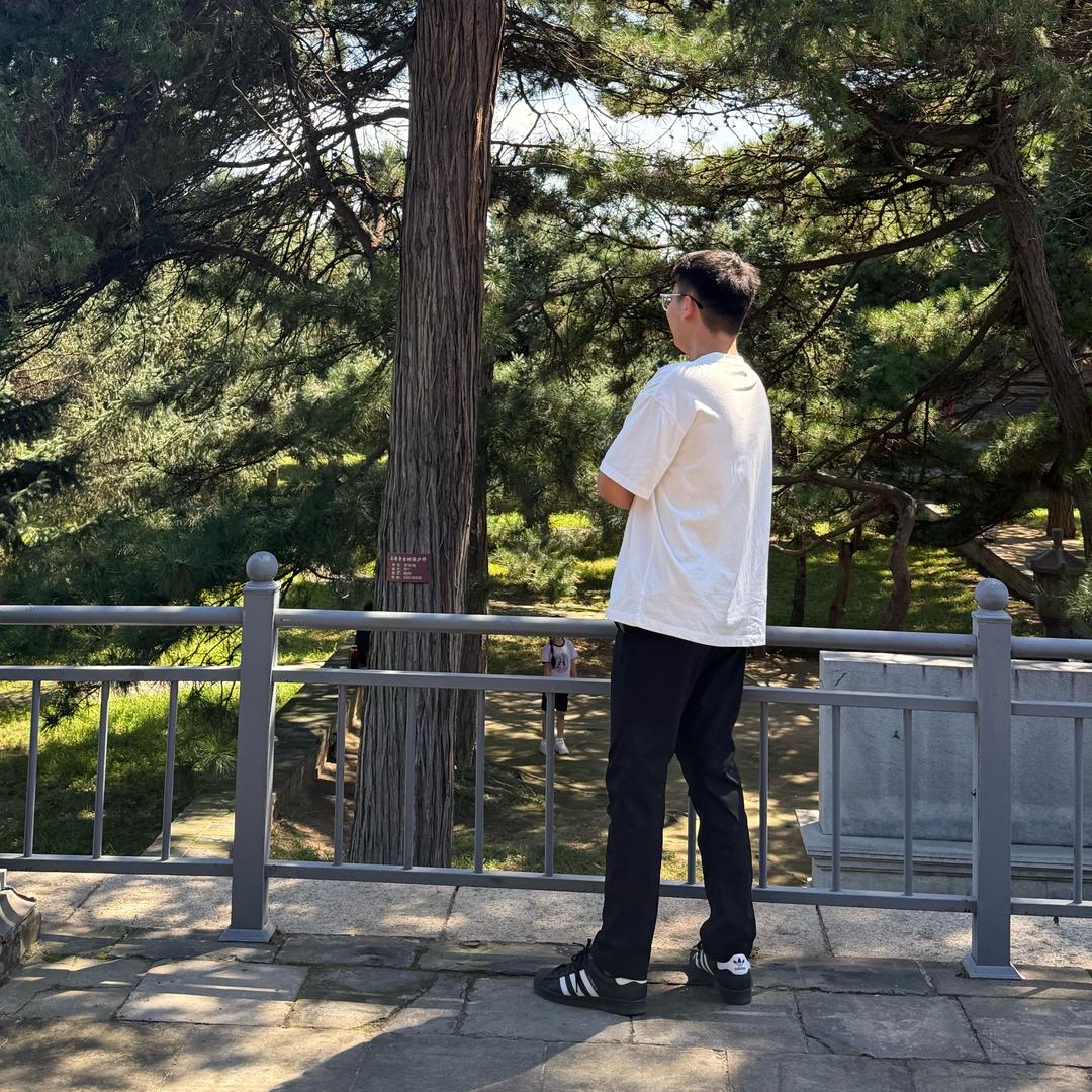 羊羊