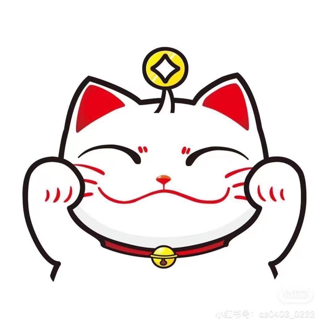 毛毛衣