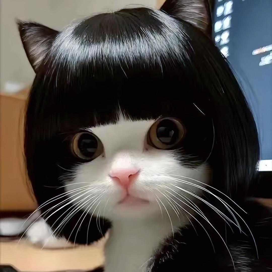 vv大王