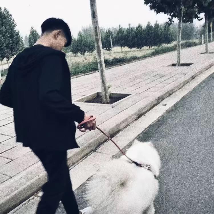 财6