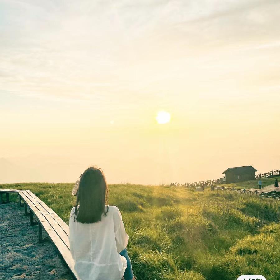 小布丁☀️☀️藏宝阁
