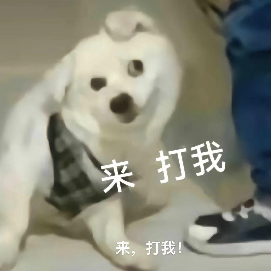 娇美菩萨出门被18个帅哥抢着让座