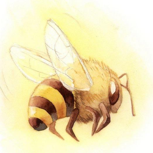 康纳士博士（日行一善版）