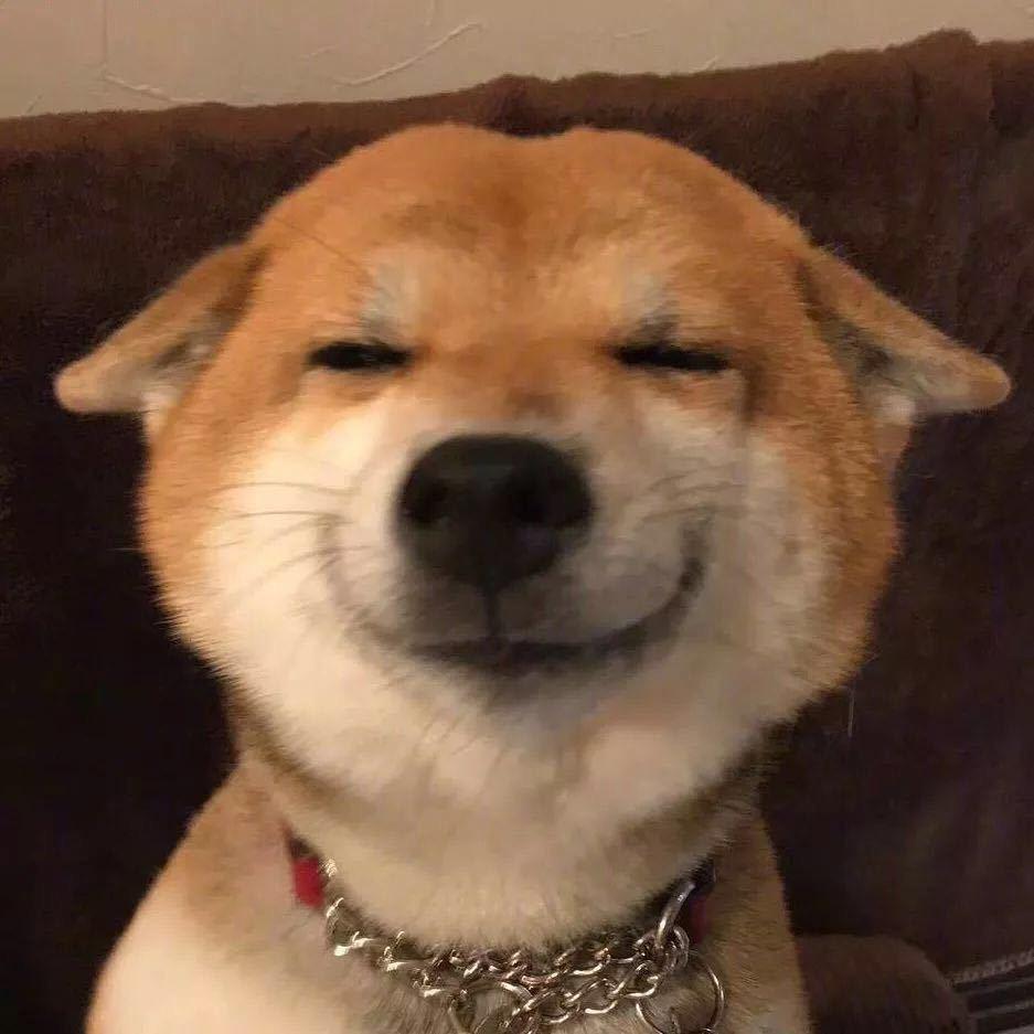 献齐