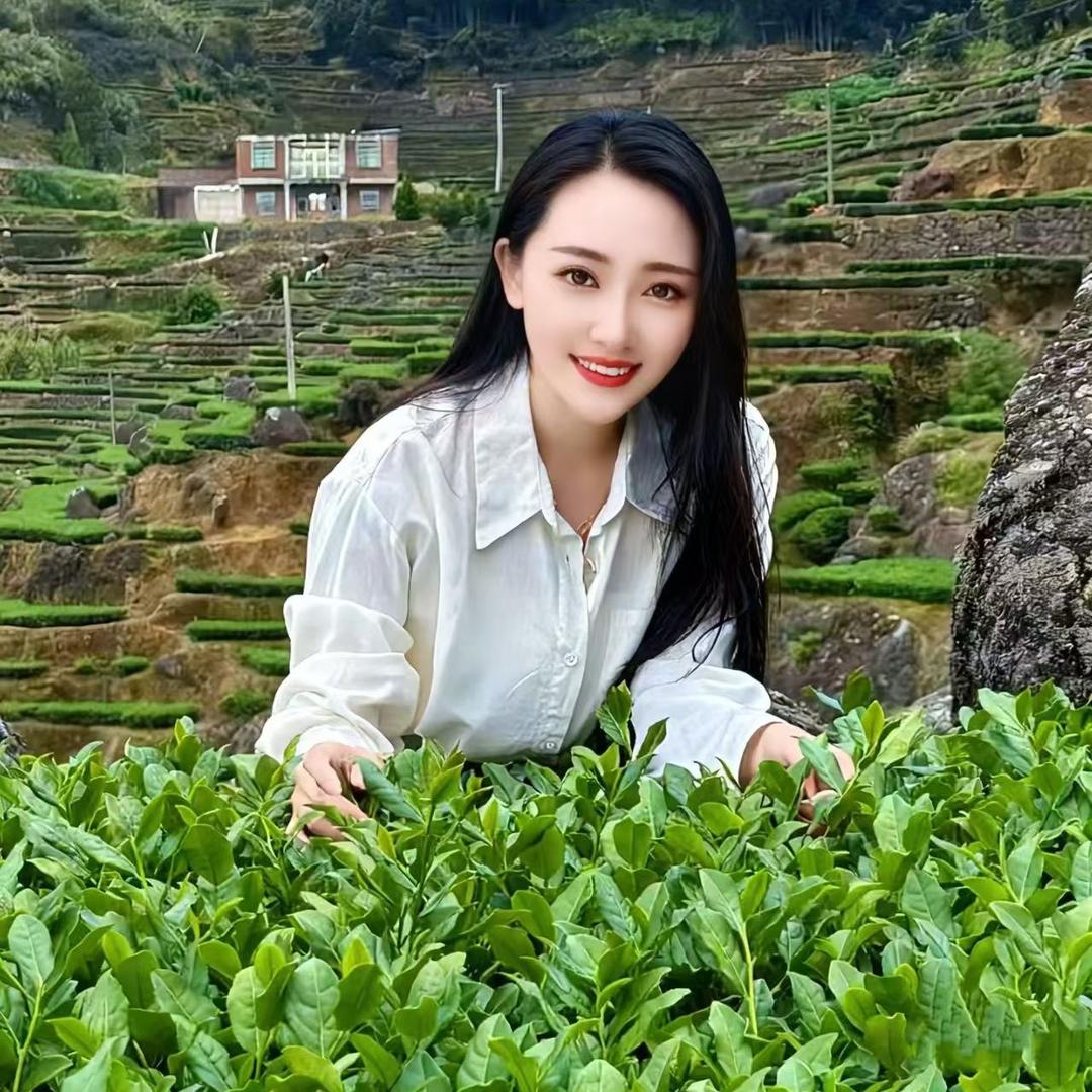 苏家茶铺