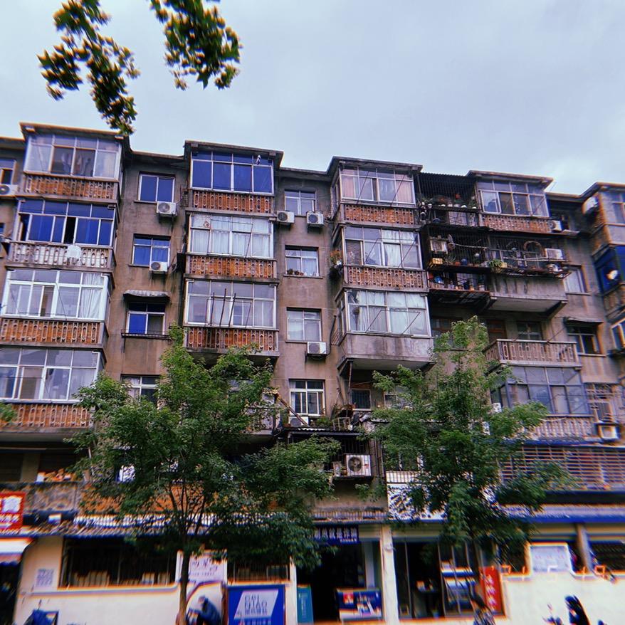 富贵花开🌹🌼🌷