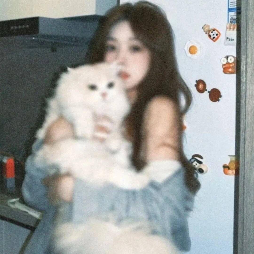 -QQ爱