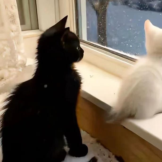 那时雨