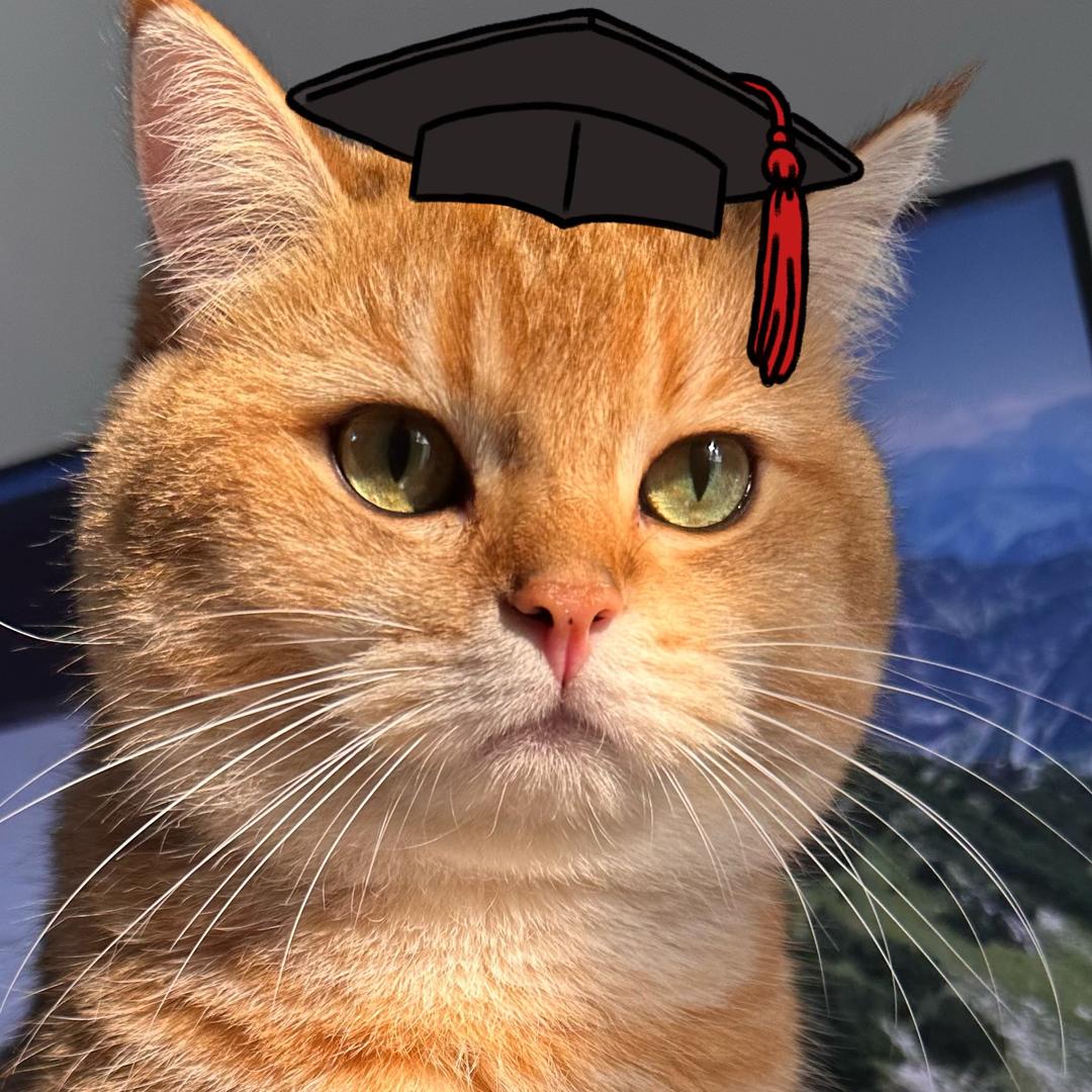 好吃懒惰的猫🐱