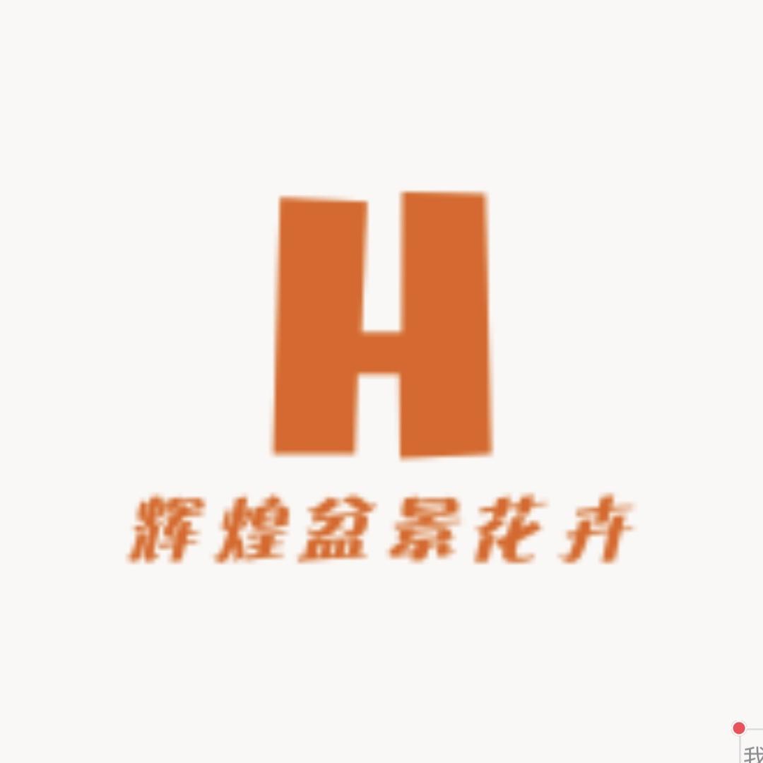 辉煌盆景花卉