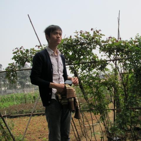 念鲜