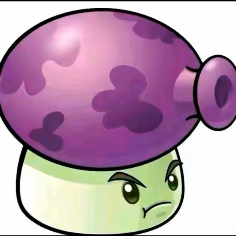 🟣🟣🟣🟣🟣🟣