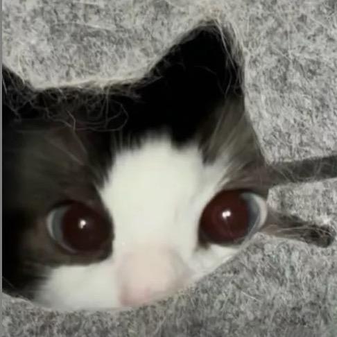 方方子