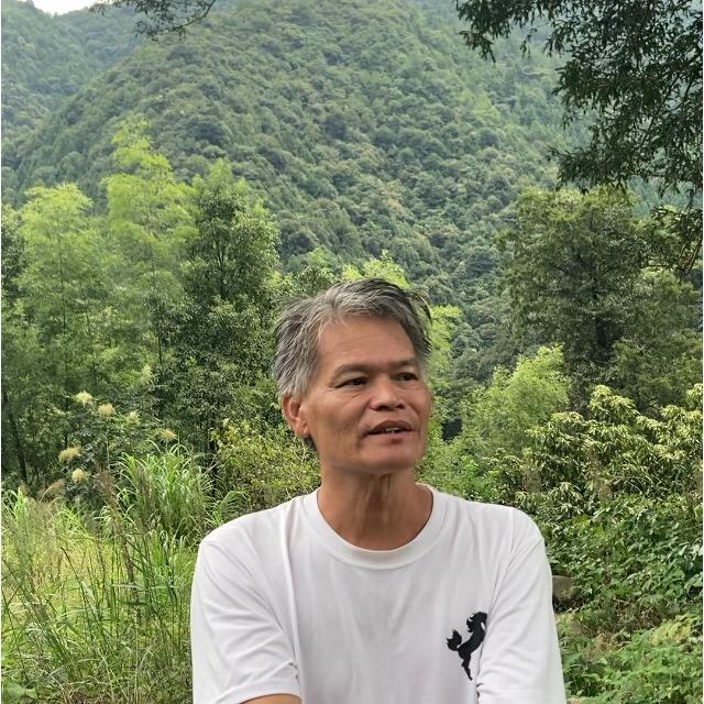 戴茗仁风   水