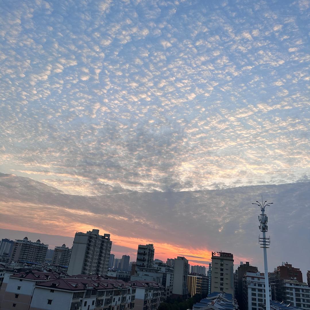 脑袋空空