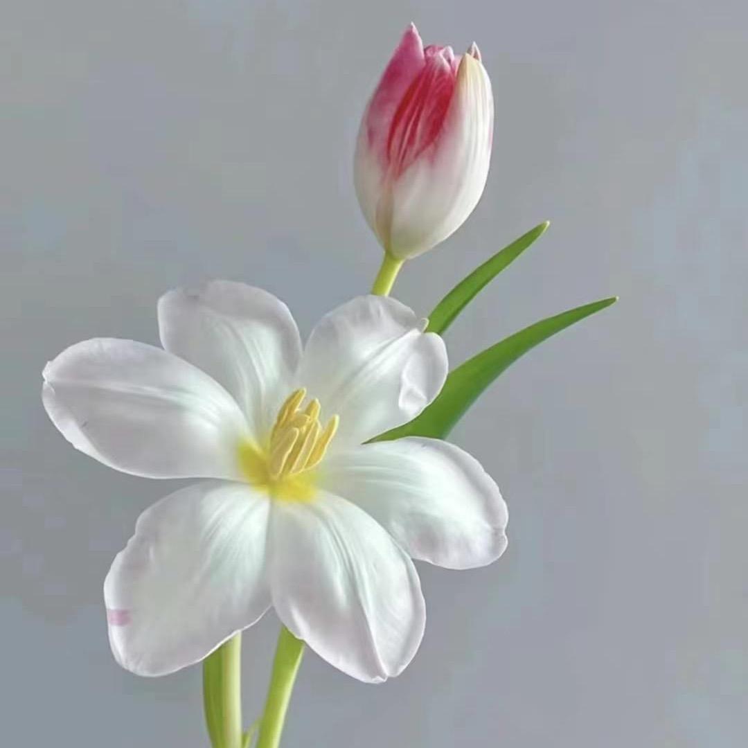 叶🍀子