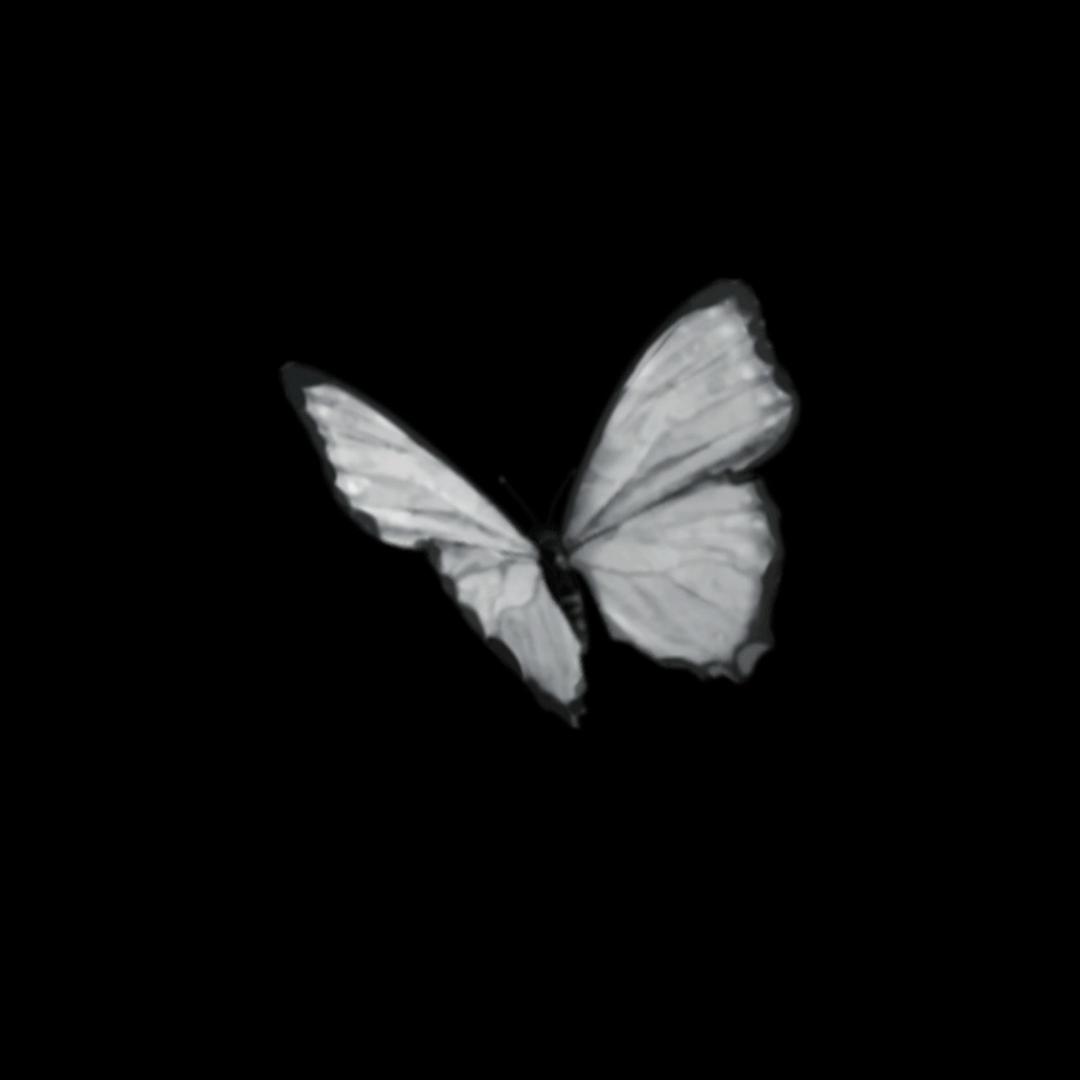 touka