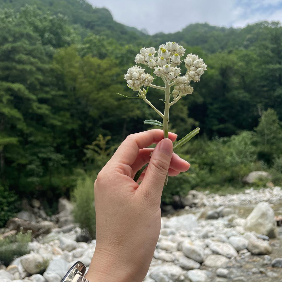 欣💕👆💃（10级晶小朵）