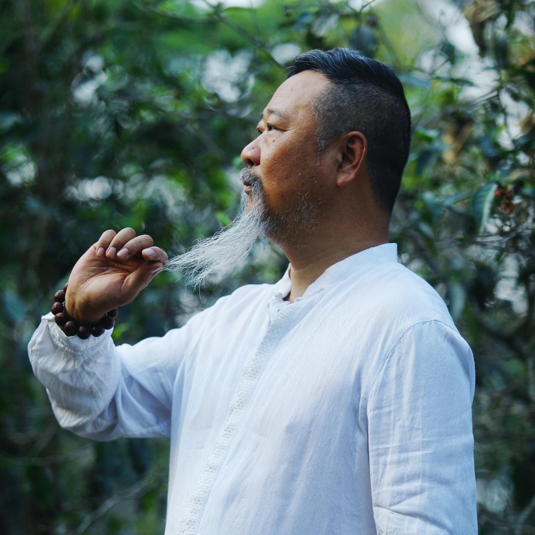 本在爷爷的茶窝子