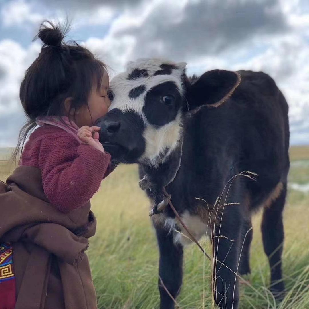 哲德仓西藏食品专卖店