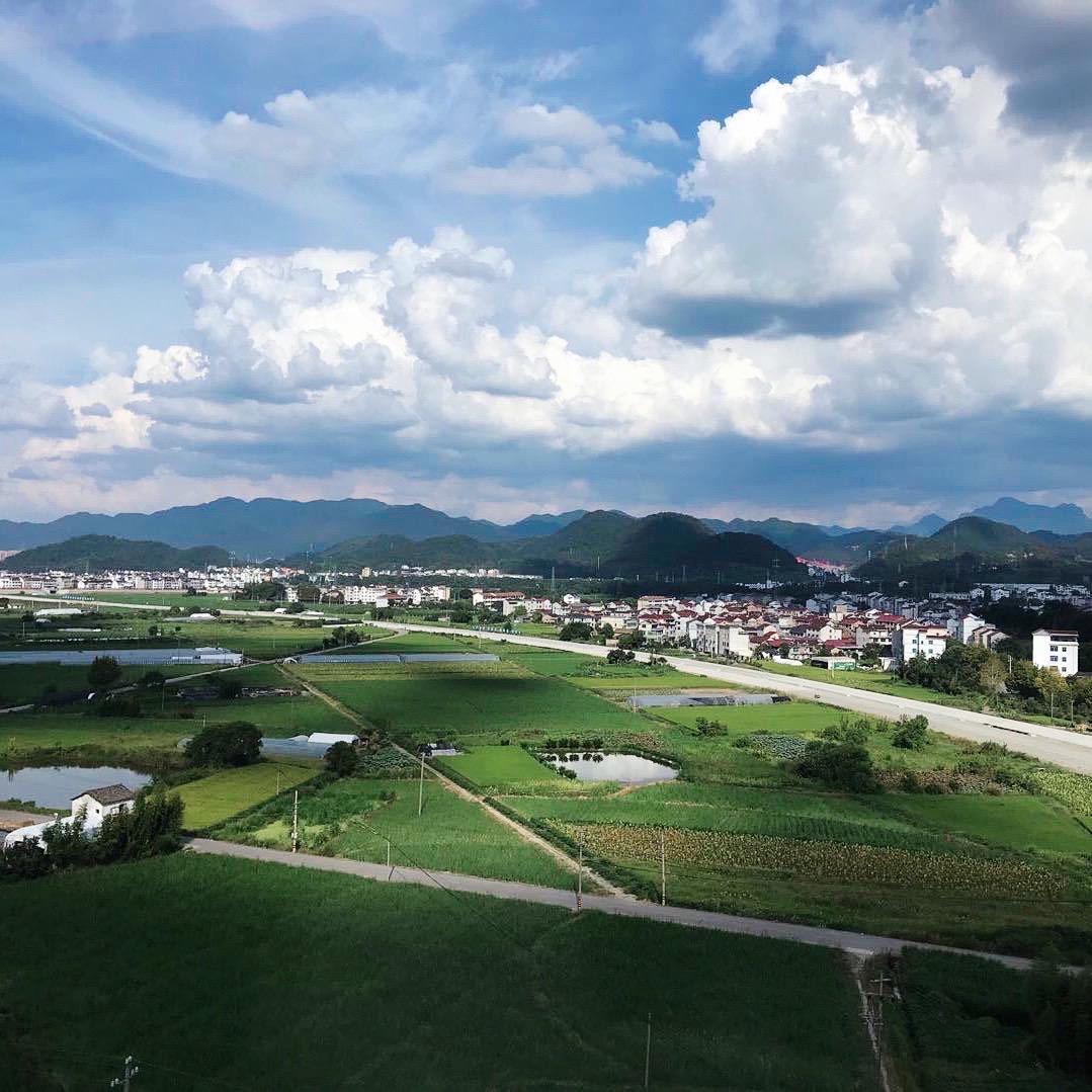 🐑白山羊🐏