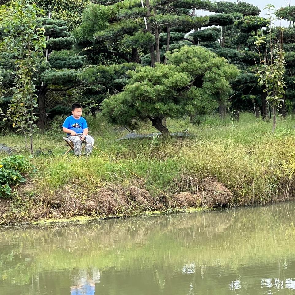 麦哥的钓鱼日记🎣
