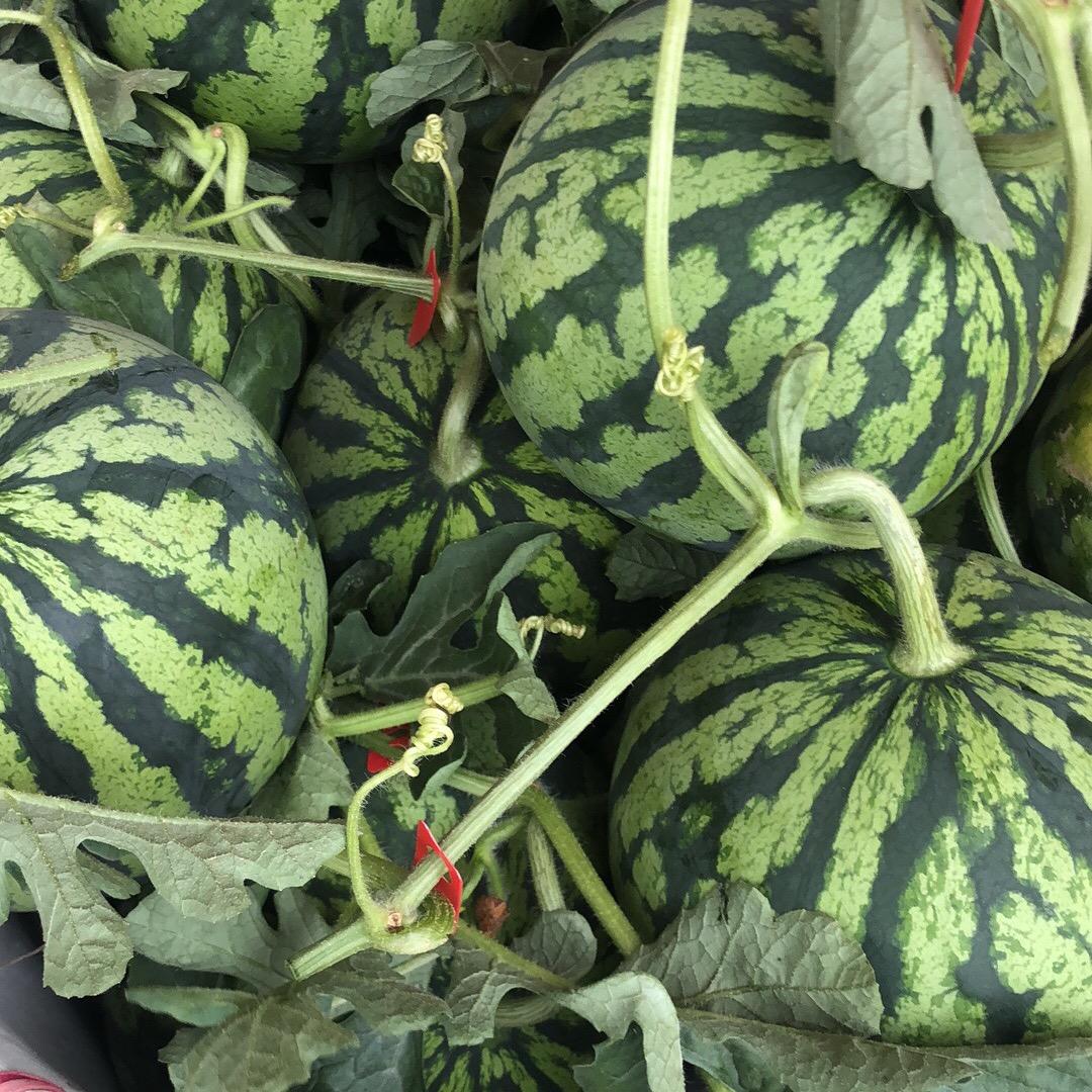 有家·优鲜购果园大卖场百货超市专用号