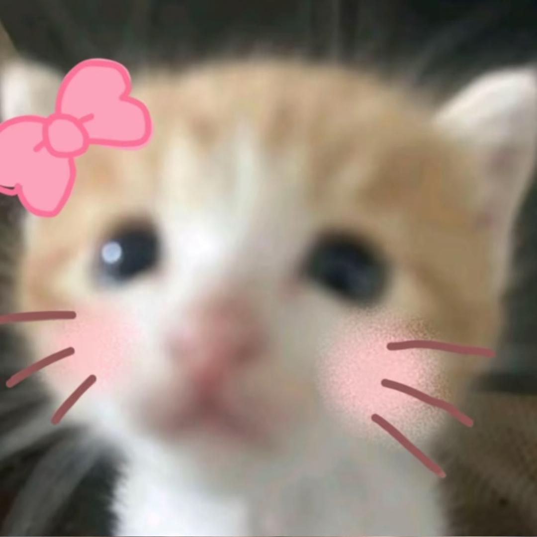 走走道中奖了