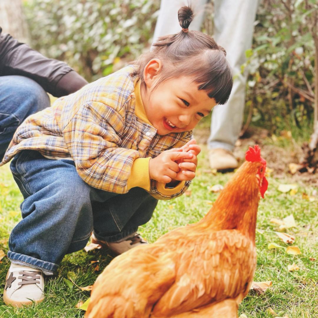 ❤️范米粒儿👧🏻FF