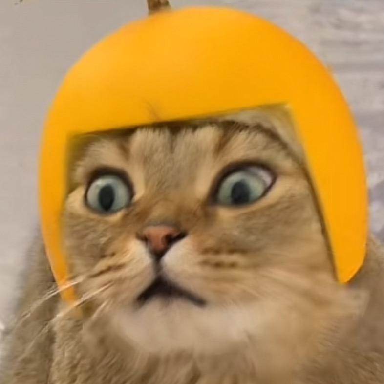 早睡早起过体操