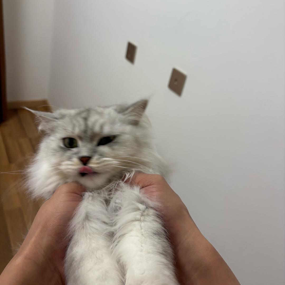 7’