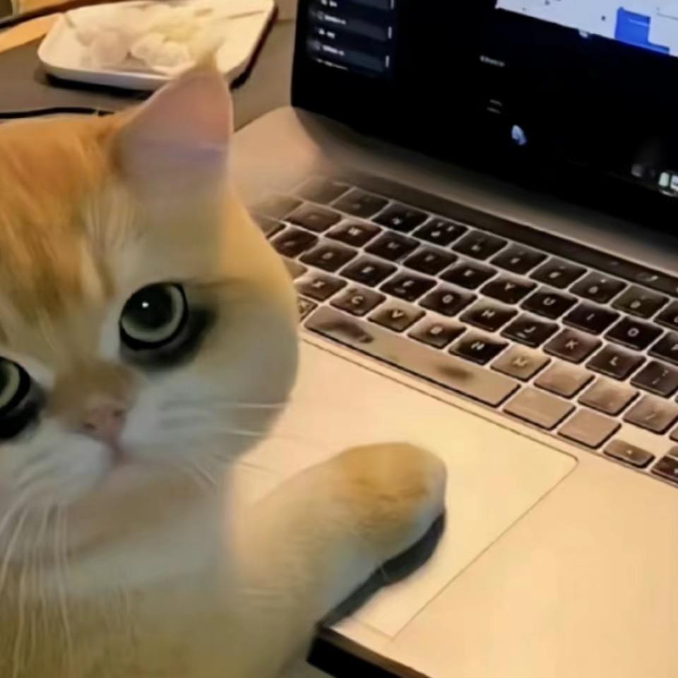 熙欢^
