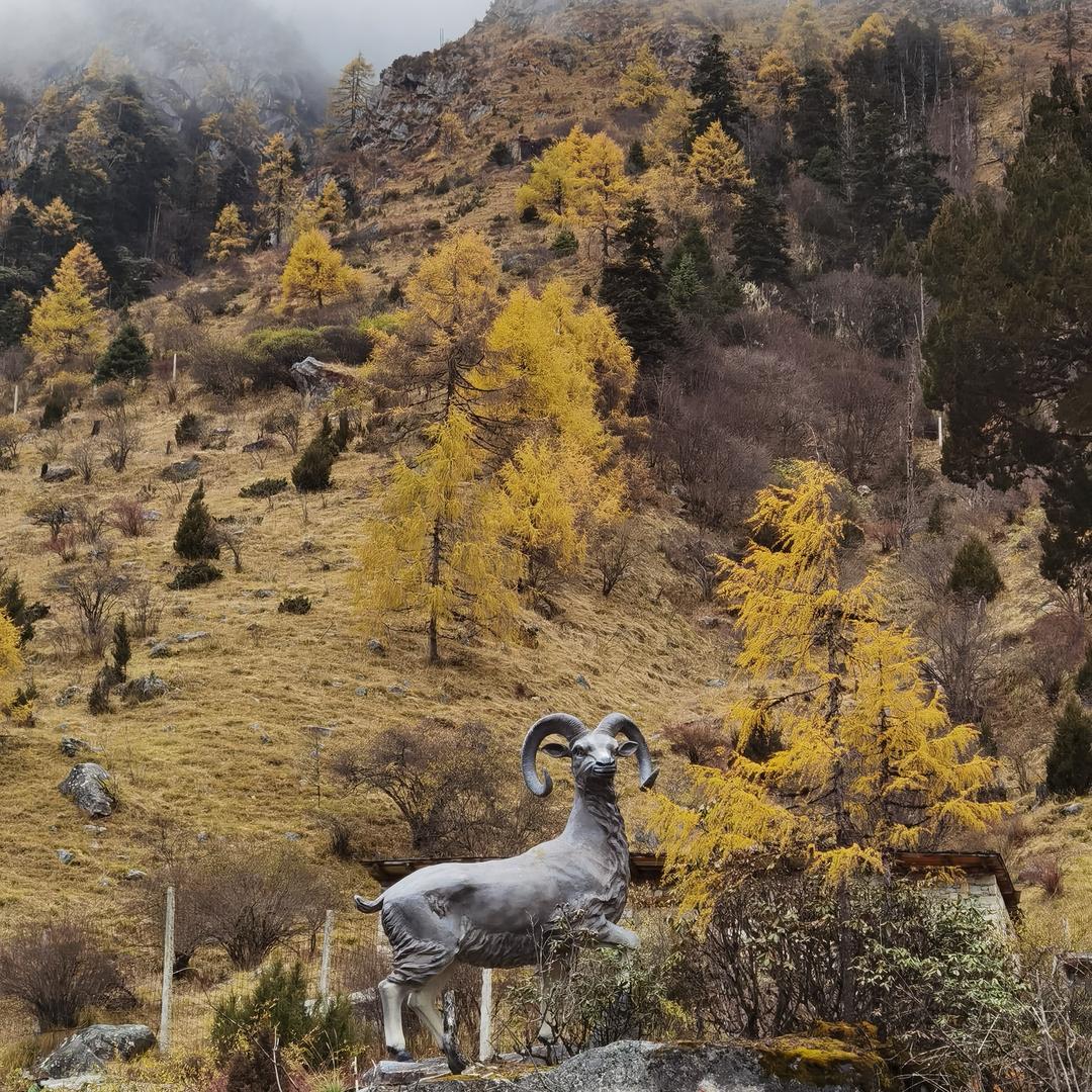 成都边疆创意屋