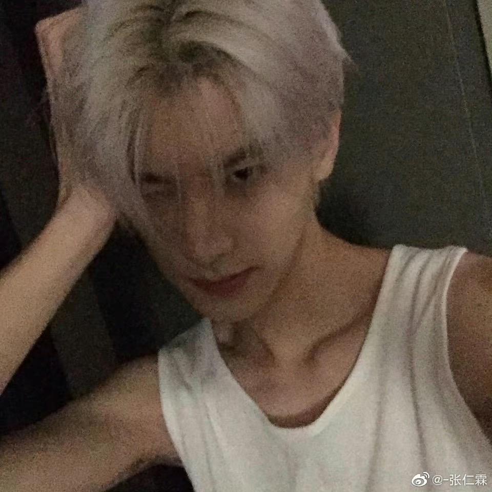 鲨鱼🦈不吃海鲜