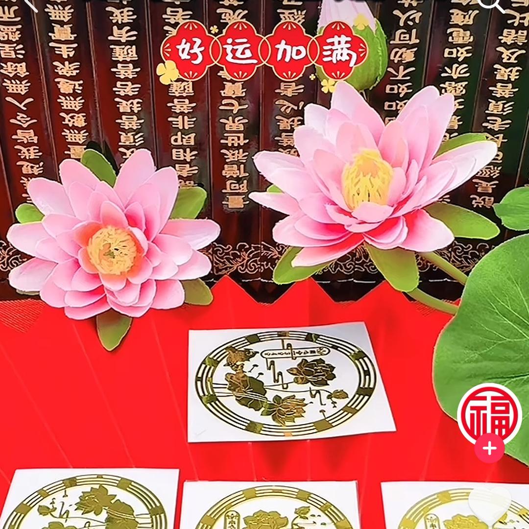 好韵莲莲