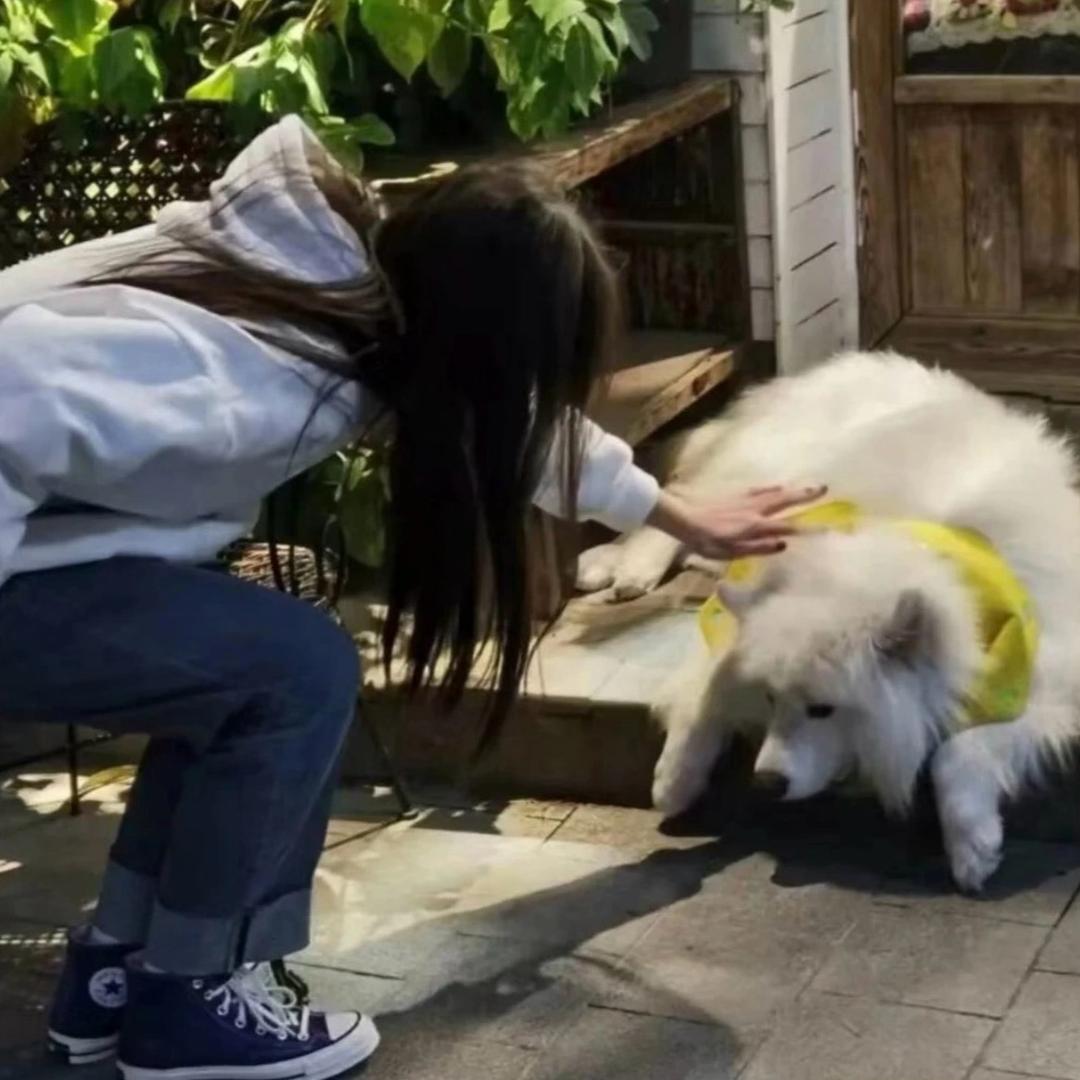 知宴