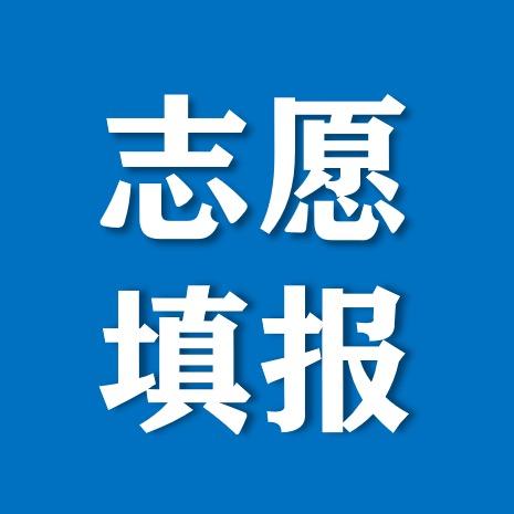 广西升学指导韦老师