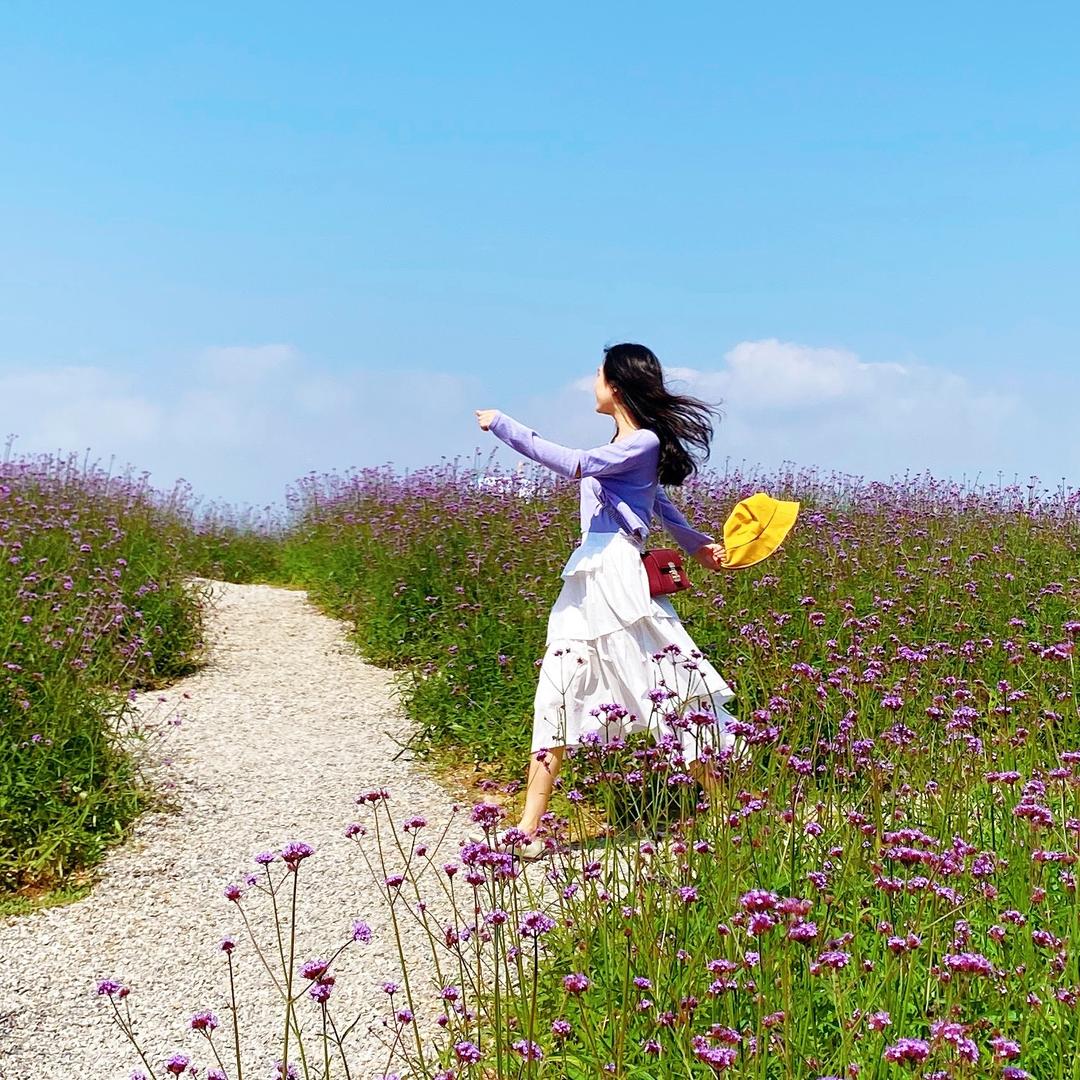 喵小姐🌻